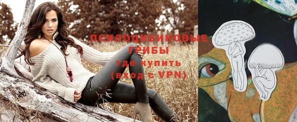 эйфоретик Алзамай